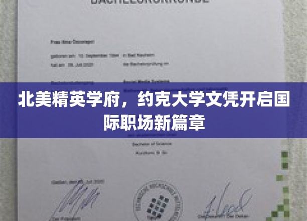 约克大学文凭，助你跨足北美精英职场新天地
