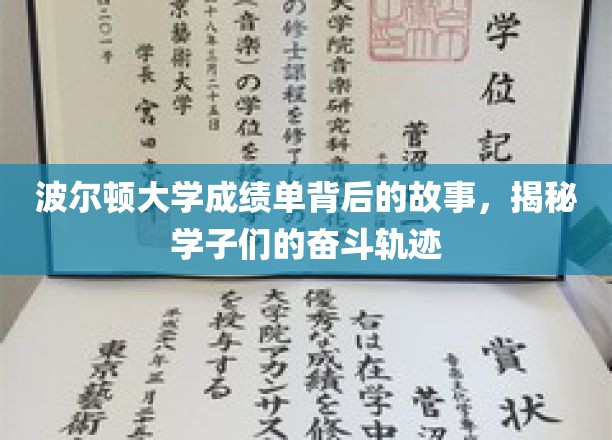 波尔顿学子奋斗路，揭秘成绩单背后的感人篇章