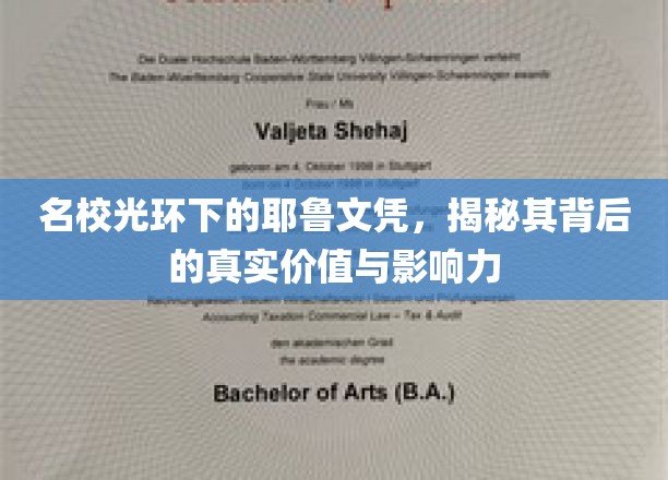 耶鲁文凭背后的惊人价值，揭开名校光环的真正魅力