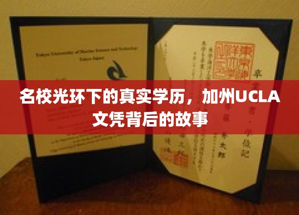加州UCLA名校背后的真实学历探寻记