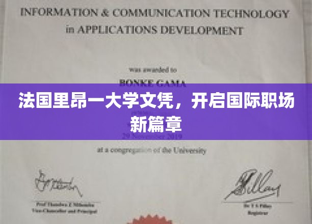 法国里昂一大学文凭，助力开启国际职场的新篇章