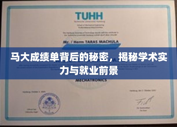 揭开马大成绩单的秘密：探索学术实力与职业发展前景