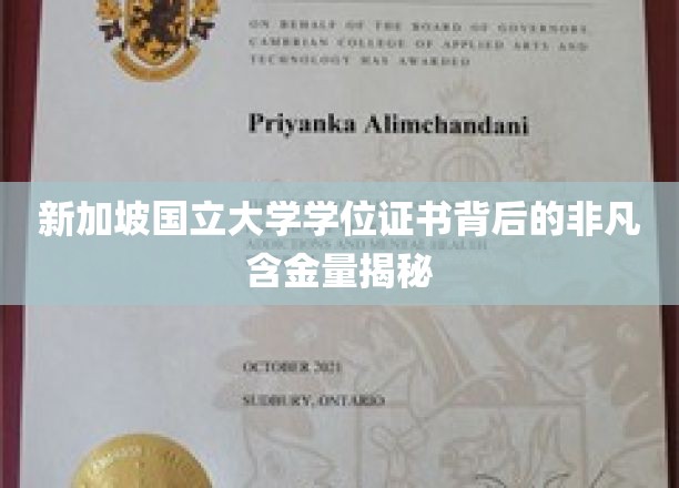 新加坡国立大学学位证书，揭秘其背后的卓越价值与全球认可度
