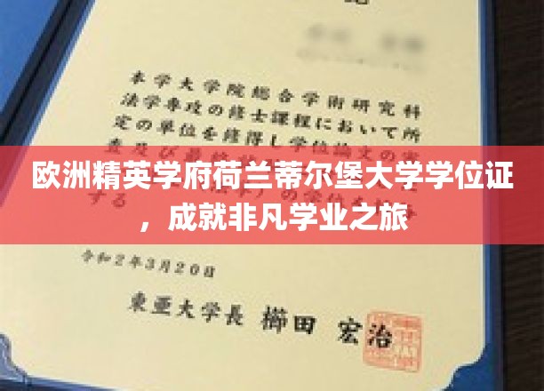 欧洲精英学府荷兰蒂尔堡大学学位证，成就非凡学业之旅