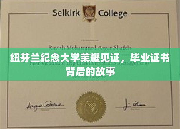 纽芬兰纪念大学荣耀见证，毕业证书背后的故事