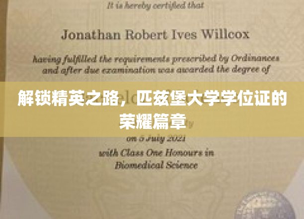 匹兹堡大学学位荣耀，探索精英成长的神秘旅程