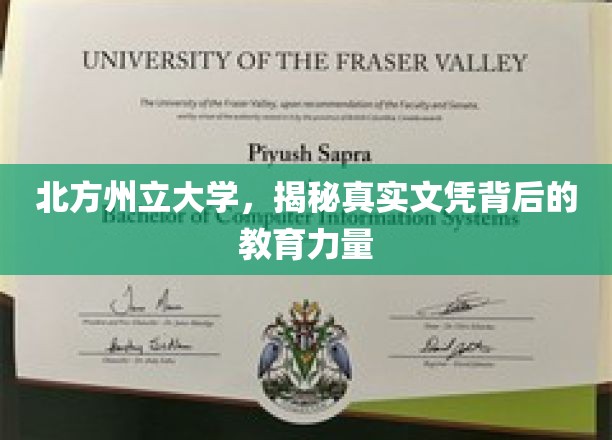 北方州立大学，揭秘真实文凭背后的教育力量