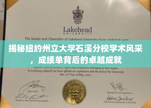 石溪分校，纽约州立大学学术璀璨，揭秘成绩单背后的辉煌实力