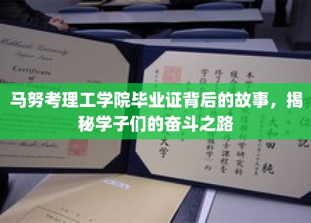 马努考理工学院荣耀证章，探寻学子奋斗足迹