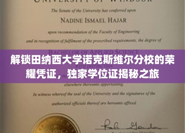 探寻田纳西大学诺克斯维尔分校的荣耀凭证，独家学位证揭秘之旅