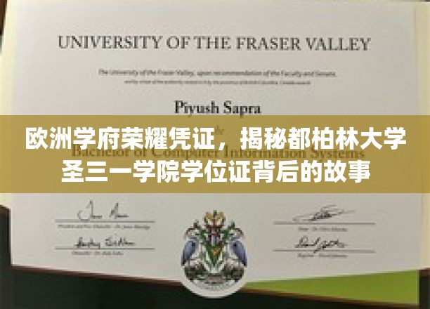 解码都柏林圣三一学院，探寻欧洲顶级学府学位证书的传奇历程