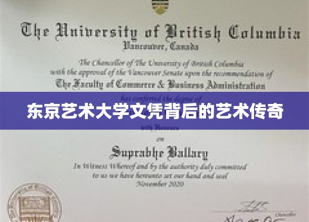 艺术殿堂的荣耀轨迹，揭秘东京艺术大学文凭背后的精彩故事