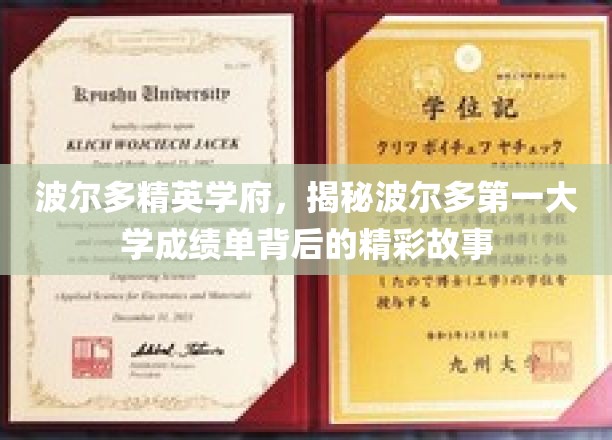 波尔多精英学府，揭秘波尔多第一大学成绩单背后的精彩故事
