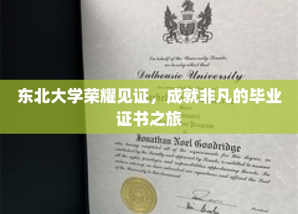 东北辉煌，证书荣耀——东北大学毕业之旅大揭秘