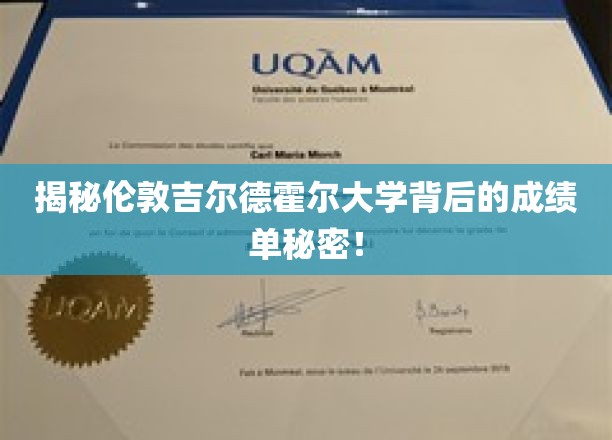 揭秘，伦敦吉尔德霍尔大学惊人成绩背后的秘密源泉