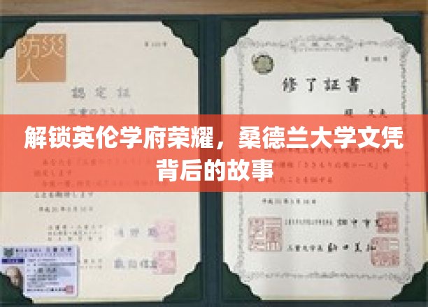 解锁英伦学府荣耀，桑德兰大学文凭背后的故事