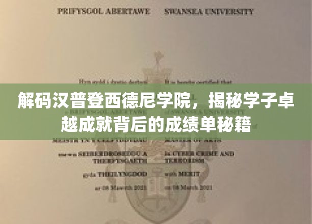 解码汉普登西德尼学院，揭秘学子卓越成就背后的成绩单秘籍