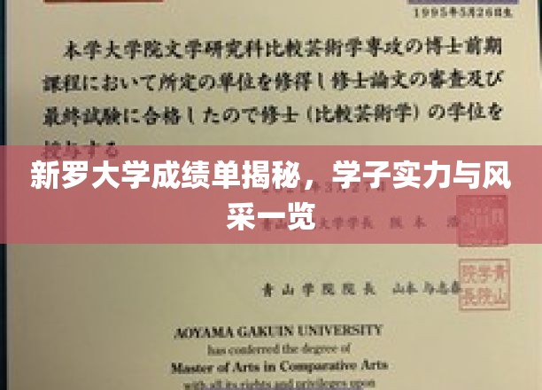 新罗学子成绩单大公开，实力与风采惊艳呈现