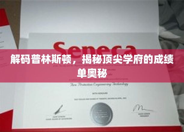 探寻普林斯顿辉煌背后的学术密码