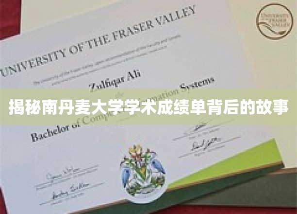 揭开南丹麦大学成绩单背后的精彩篇章