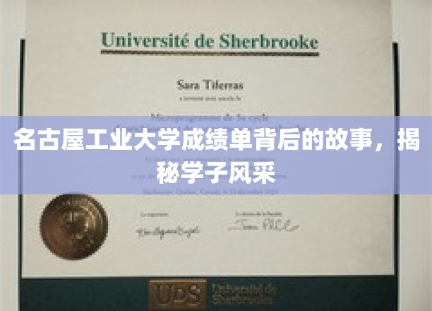 名古屋工业大学成绩单背后的故事，揭秘学子风采