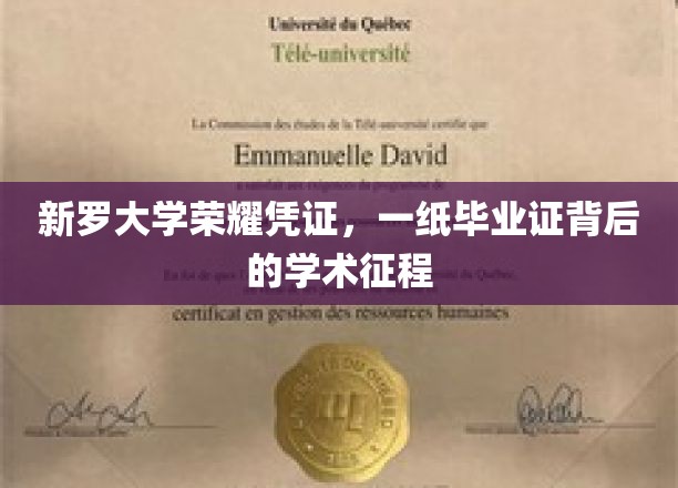 新罗荣耀，毕业证书见证的学术征途与成就之光