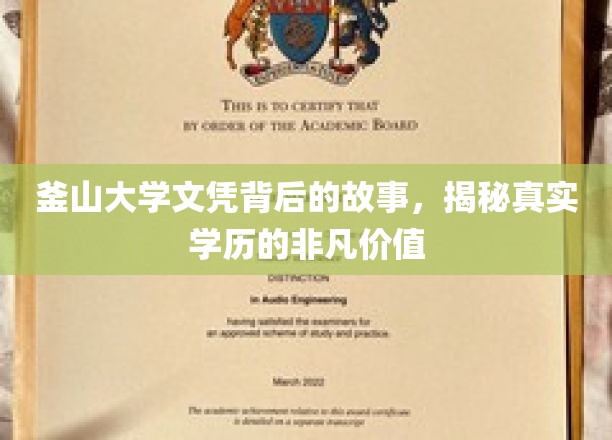 釜山大学文凭，揭开学历背后的传奇与价值