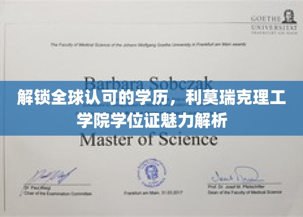 全球通行证背后的力量，揭秘利莫瑞克理工学院学位证的独特魅力