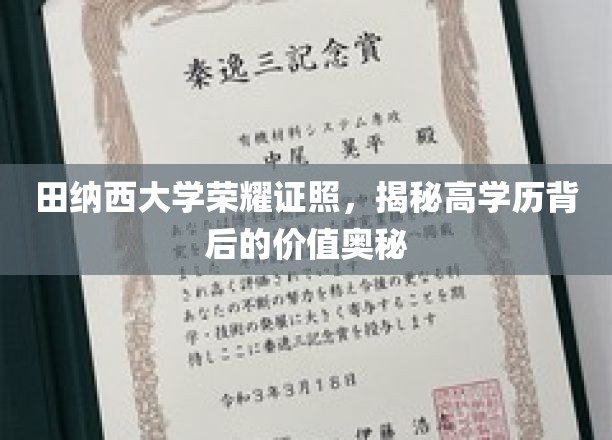 解码田纳西大学荣耀学位，探寻高学历的价值精髓