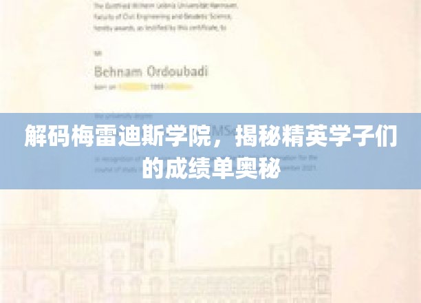 探寻梅雷迪斯学院学霸秘籍，精英学子如何书写高分传奇