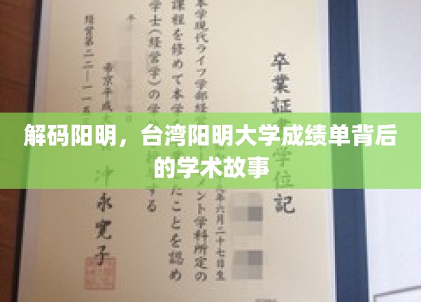 台湾阳明揭秘，探秘阳明大学成绩单背后的学术传奇