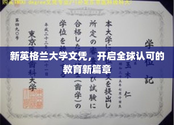 新英格兰大学文凭，引领国际教育新潮流
