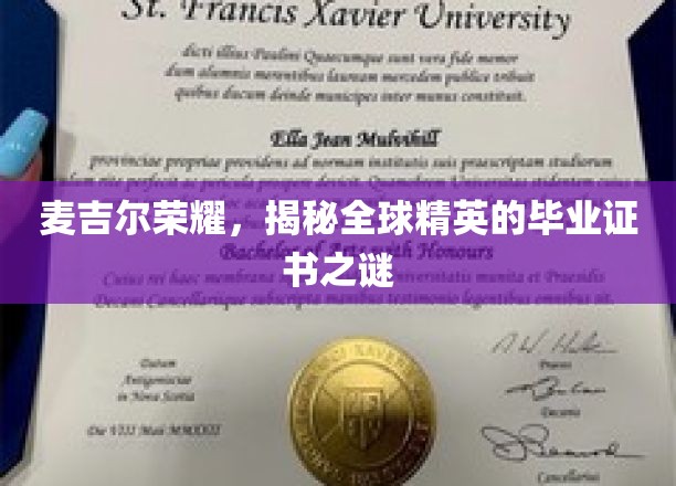 麦吉尔之光，解码世界精英证书背后的传奇故事
