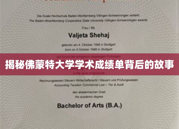 揭开佛蒙特大学成绩单背后的神秘面纱