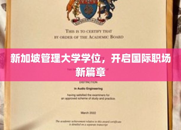 新加坡管理大学学位，开启国际职场新篇章