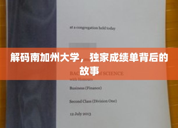 解码南加州大学，独家成绩单背后的故事