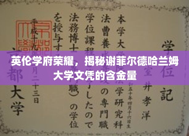 探寻谢菲尔德哈兰姆大学学位的非凡价值，英伦教育荣耀见证