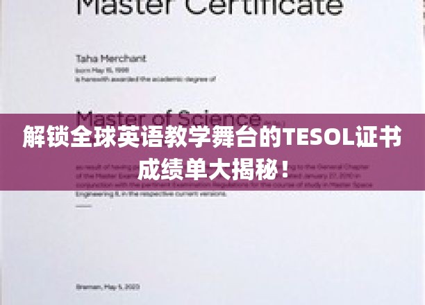 揭秘TESOL证书，解锁全球英语教学舞台！