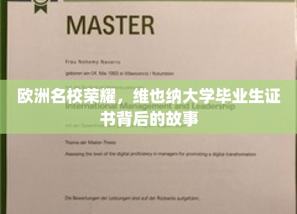 揭开维也纳大学证书之谜，欧洲名校荣耀背后的传奇故事