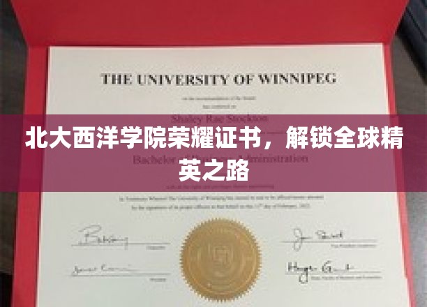 北大西洋学院荣耀证书，开启国际精英通行证