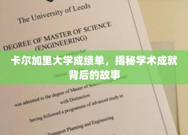 揭开卡尔加里大学学子辉煌成就背后的秘密之旅