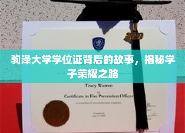 驹泽大学学位证书背后的故事，揭秘学子荣耀之路