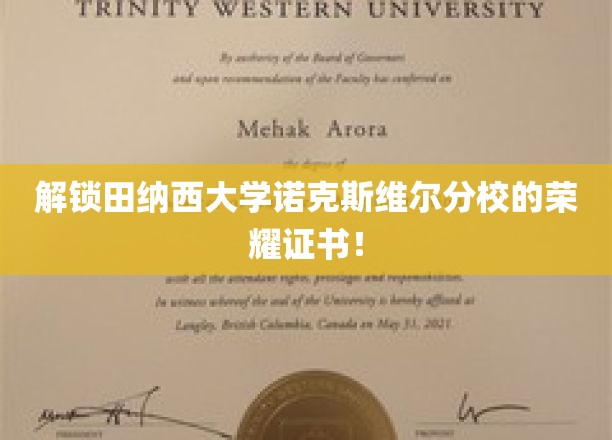 田纳西大学诺克斯维尔分校荣耀证书背后的神秘面纱正式揭晓！