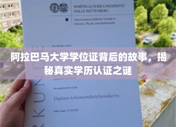 阿拉巴马大学学位证背后的传奇，深度解析学历认证之谜