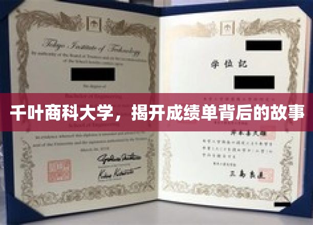 千叶商科大学，揭秘成绩单背后的故事