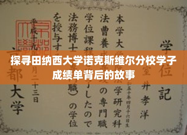 探寻田纳西大学诺克斯维尔分校学子成绩单背后的故事
