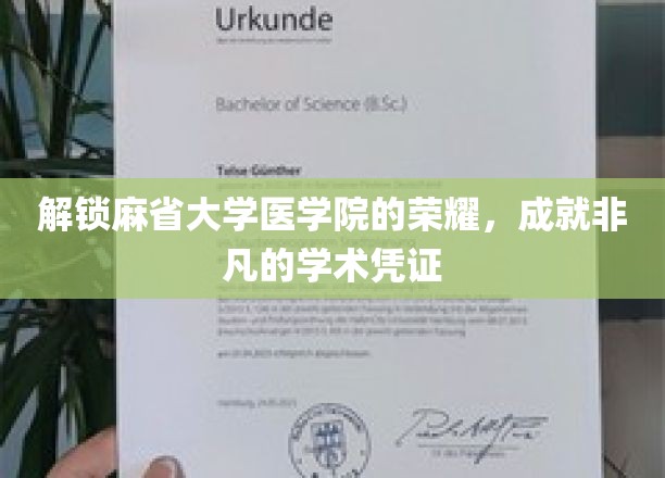解锁麻省大学医学院的荣耀，成就非凡的学术凭证