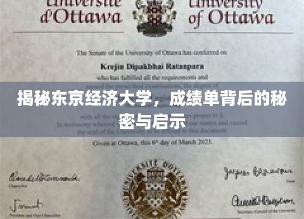 东京经济大学揭秘：成绩单背后的秘密与启示