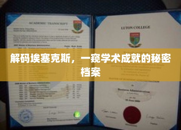 埃塞克斯学术秘籍，揭秘辉煌成就背后的神秘档案