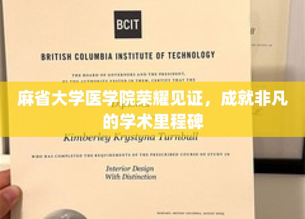 麻省医学院荣耀绽放，共创学术巅峰的璀璨时刻